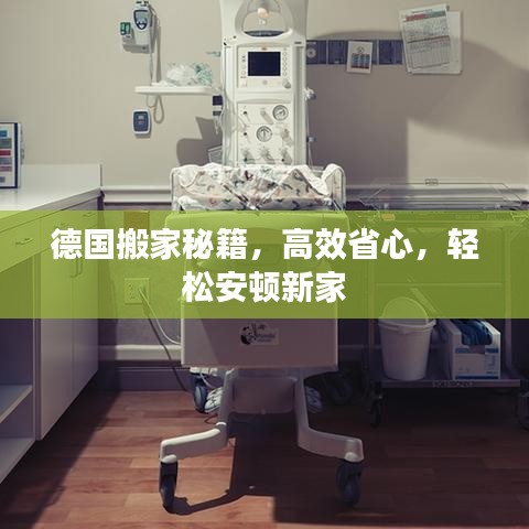 德國搬家秘籍，高效省心，輕松安頓新家