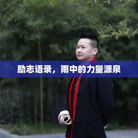 勵(lì)志語(yǔ)錄，雨中的力量源泉