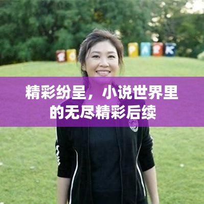 精彩紛呈，小說世界里的無盡精彩后續(xù)