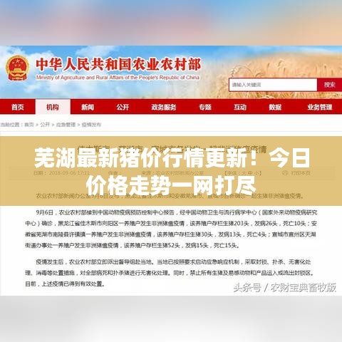 蕪湖最新豬價行情更新！今日價格走勢一網(wǎng)打盡