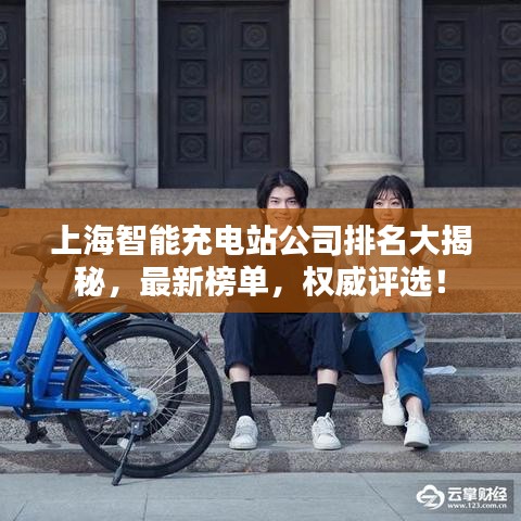 上海智能充電站公司排名大揭秘，最新榜單，權(quán)威評(píng)選！
