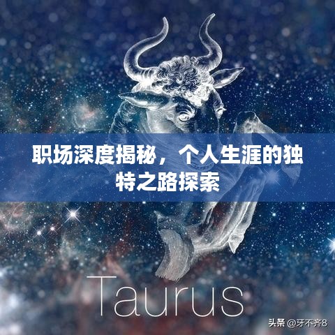 職場深度揭秘，個人生涯的獨特之路探索