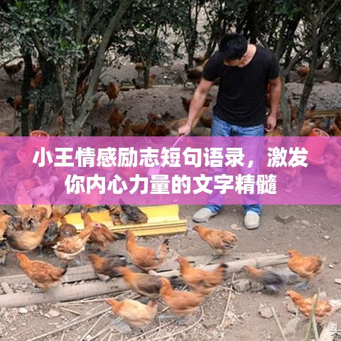 小王情感勵(lì)志短句語錄，激發(fā)你內(nèi)心力量的文字精髓