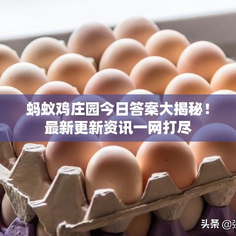 螞蟻雞莊園今日答案大揭秘！最新更新資訊一網(wǎng)打盡