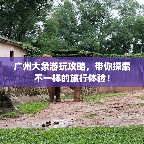 廣州大象游玩攻略，帶你探索不一樣的旅行體驗！