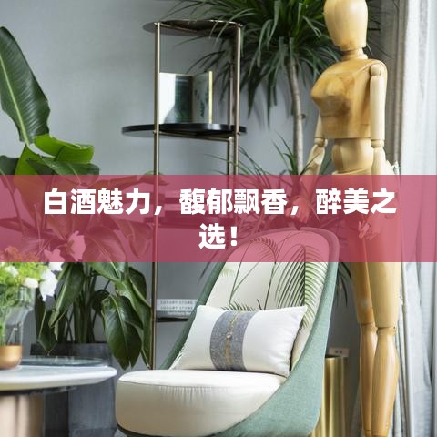 白酒魅力，馥郁飄香，醉美之選！