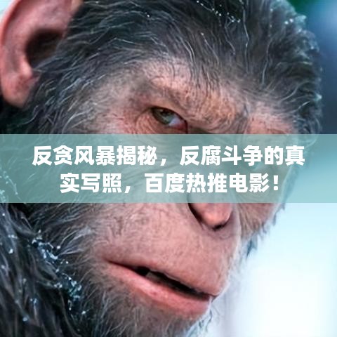 反貪風(fēng)暴揭秘，反腐斗爭的真實(shí)寫照，百度熱推電影！