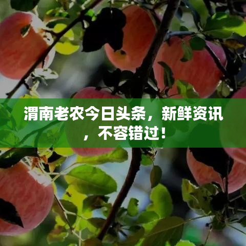 渭南老農(nóng)今日頭條，新鮮資訊，不容錯(cuò)過！