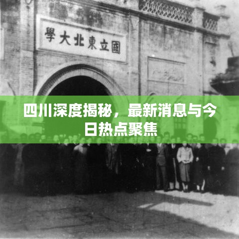 四川深度揭秘，最新消息與今日熱點(diǎn)聚焦