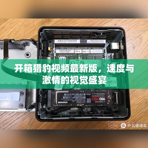 開箱獵豹視頻最新版，速度與激情的視覺盛宴