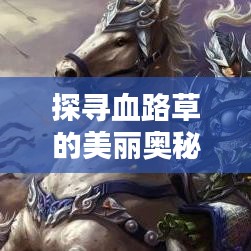 探尋血路草的美麗奧秘，百度圖片帶你領略血路草的風采