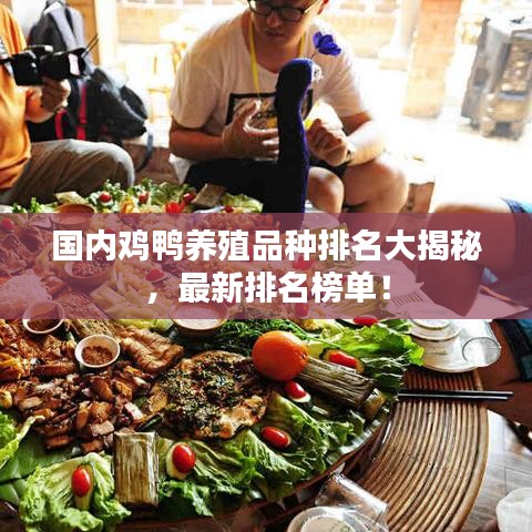 國內(nèi)雞鴨養(yǎng)殖品種排名大揭秘，最新排名榜單！