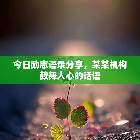 今日勵(lì)志語(yǔ)錄分享，某某機(jī)構(gòu)鼓舞人心的話語(yǔ)