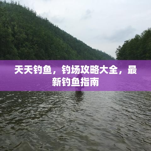 天天釣魚，釣場攻略大全，最新釣魚指南