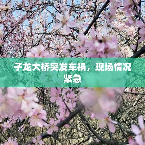 子龍大橋突發(fā)車禍，現(xiàn)場情況緊急