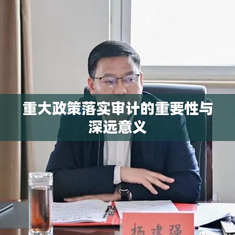 重大政策落實(shí)審計(jì)的重要性與深遠(yuǎn)意義