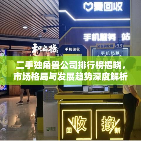 二手獨(dú)角獸公司排行榜揭曉，市場(chǎng)格局與發(fā)展趨勢(shì)深度解析