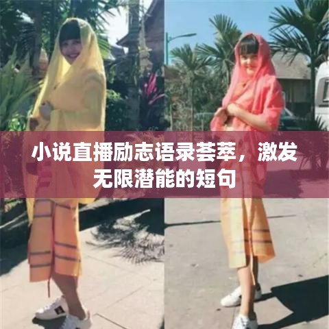 接連不斷 第2頁