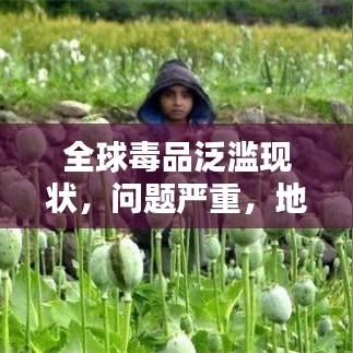 全球毒品泛濫現(xiàn)狀，問題嚴(yán)重，地區(qū)排名與治理挑戰(zhàn)