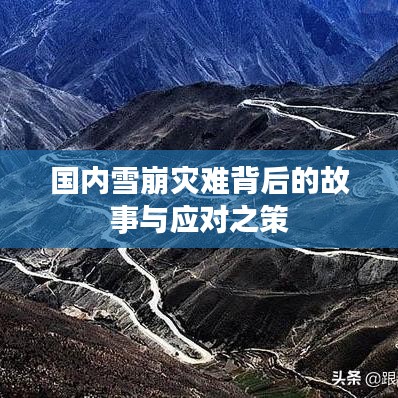 國(guó)內(nèi)雪崩災(zāi)難背后的故事與應(yīng)對(duì)之策