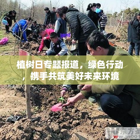 植樹日專題報(bào)道，綠色行動(dòng)，攜手共筑美好未來環(huán)境