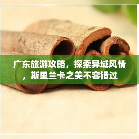 廣東旅游攻略，探索異域風(fēng)情，斯里蘭卡之美不容錯(cuò)過
