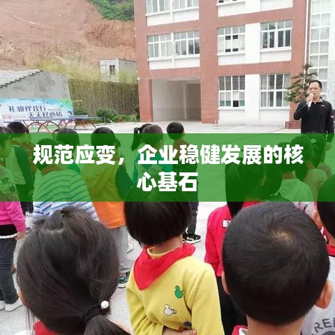 規(guī)范應(yīng)變，企業(yè)穩(wěn)健發(fā)展的核心基石