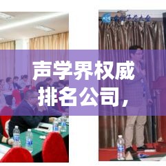 聲學(xué)界權(quán)威排名公司，引領(lǐng)聲學(xué)技術(shù)潮流的先鋒領(lǐng)航者