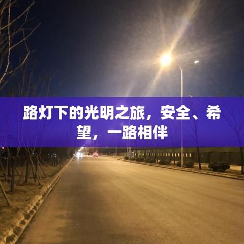 路燈下的光明之旅，安全、希望，一路相伴