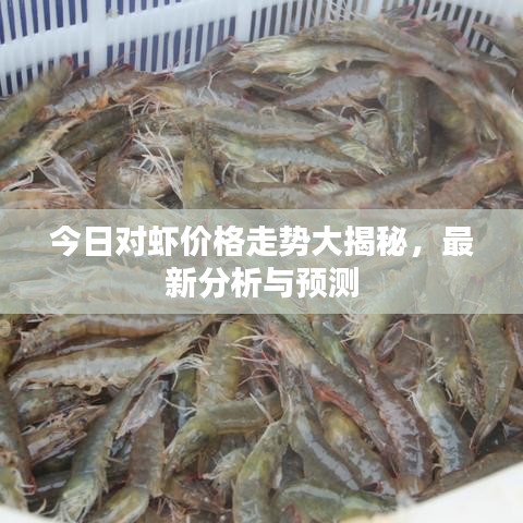 今日對蝦價格走勢大揭秘，最新分析與預測