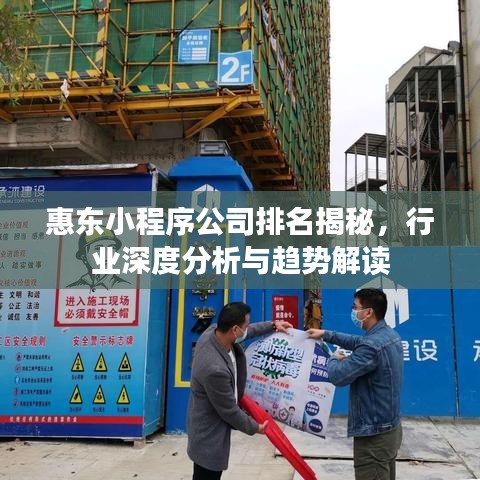 惠東小程序公司排名揭秘，行業(yè)深度分析與趨勢解讀