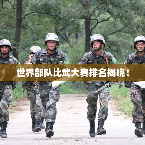 世界部隊(duì)比武大賽排名揭曉！