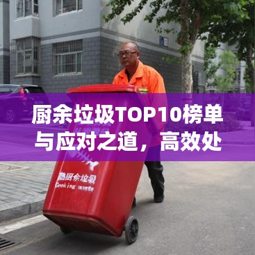 廚余垃圾TOP10榜單與應(yīng)對(duì)之道，高效處理策略揭秘