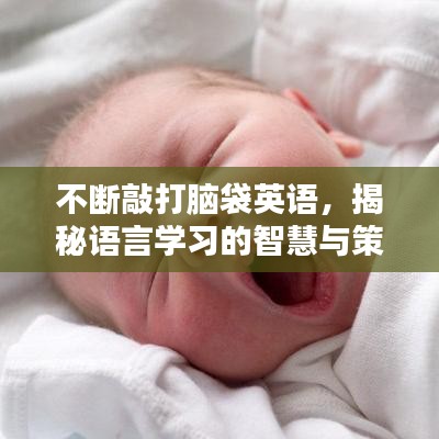 不斷敲打腦袋英語(yǔ)，揭秘語(yǔ)言學(xué)習(xí)的智慧與策略
