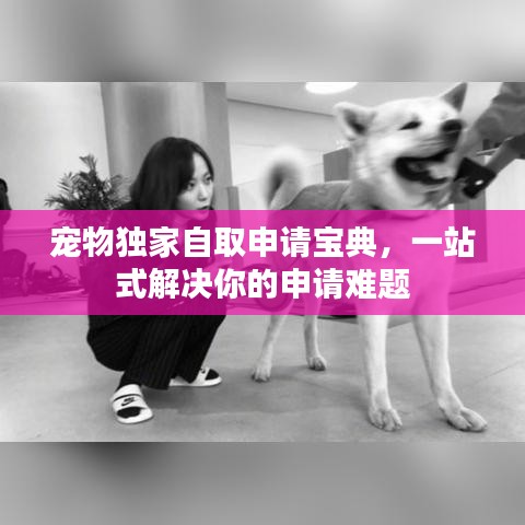 寵物獨(dú)家自取申請(qǐng)寶典，一站式解決你的申請(qǐng)難題