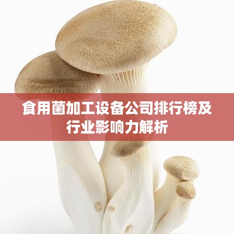 食用菌加工設備公司排行榜及行業(yè)影響力解析