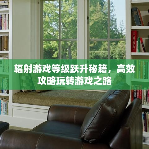 輻射游戲等級(jí)躍升秘籍，高效攻略玩轉(zhuǎn)游戲之路