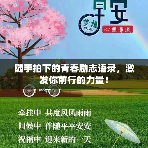 隨手拍下的青春勵志語錄，激發(fā)你前行的力量！