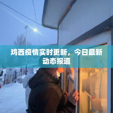 雞西疫情實(shí)時更新，今日最新動態(tài)報道