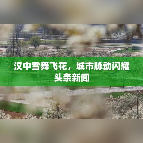 只爭(zhēng)朝夕 第2頁(yè)