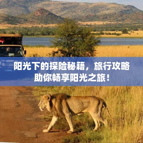 陽光下的探險(xiǎn)秘籍，旅行攻略助你暢享陽光之旅！