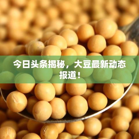 今日頭條揭秘，大豆最新動態(tài)報道！