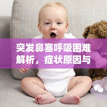 突發(fā)鼻塞呼吸困難解析，癥狀原因與應對方法