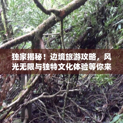 獨家揭秘！邊境旅游攻略，風光無限與獨特文化體驗等你來探秘！