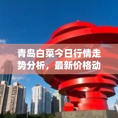 青島白菜今日行情走勢(shì)分析，最新價(jià)格動(dòng)態(tài)解讀