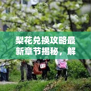 梨花兌換攻略最新章節(jié)揭秘，解鎖虛擬世界財富之門