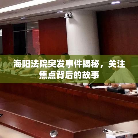 海陽法院突發(fā)事件揭秘，關(guān)注焦點背后的故事